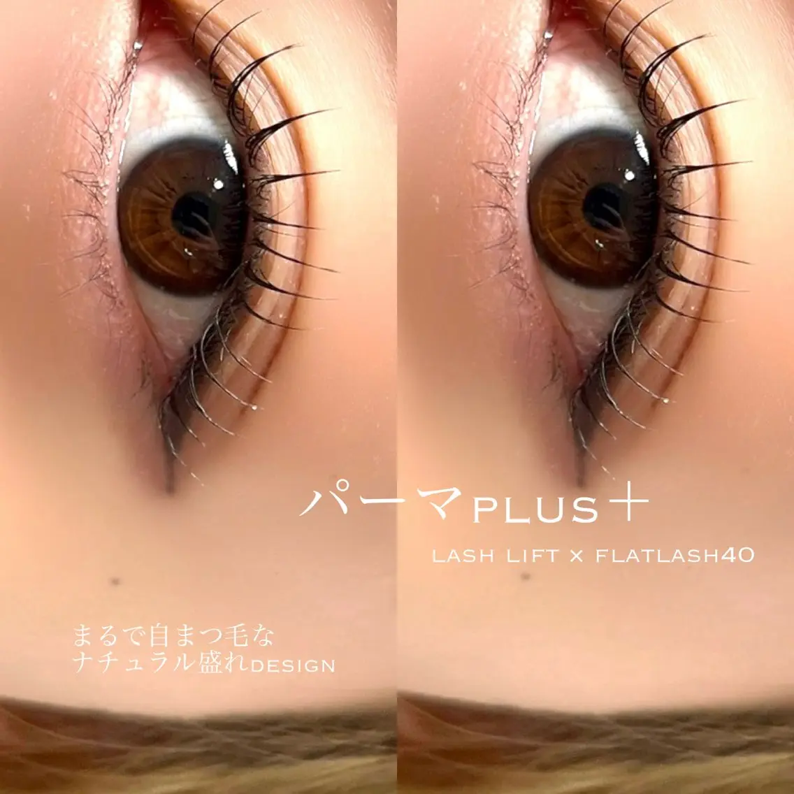 マツエク・マツパ マツパ 981 KURUMIのマツエク・マツパデザイン