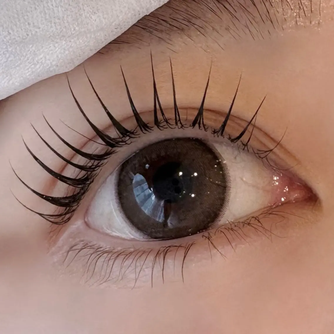 マツエク・マツパ Daisy Lash 今吉🍒🖤のマツエク・マツパデザイン