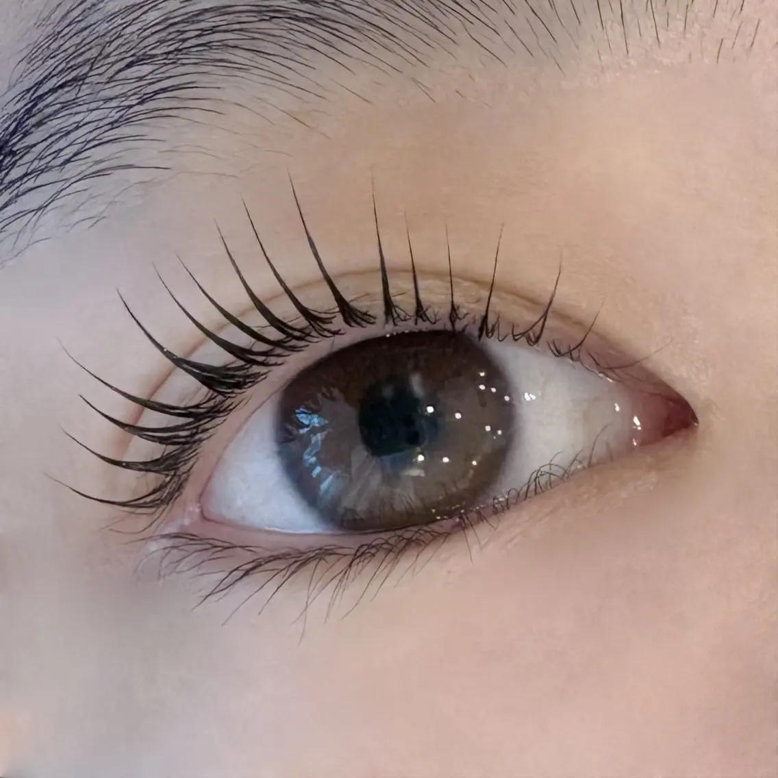 マツエク・マツパ Daisy Lash 今吉🍒🖤のマツエク・マツパデザイン