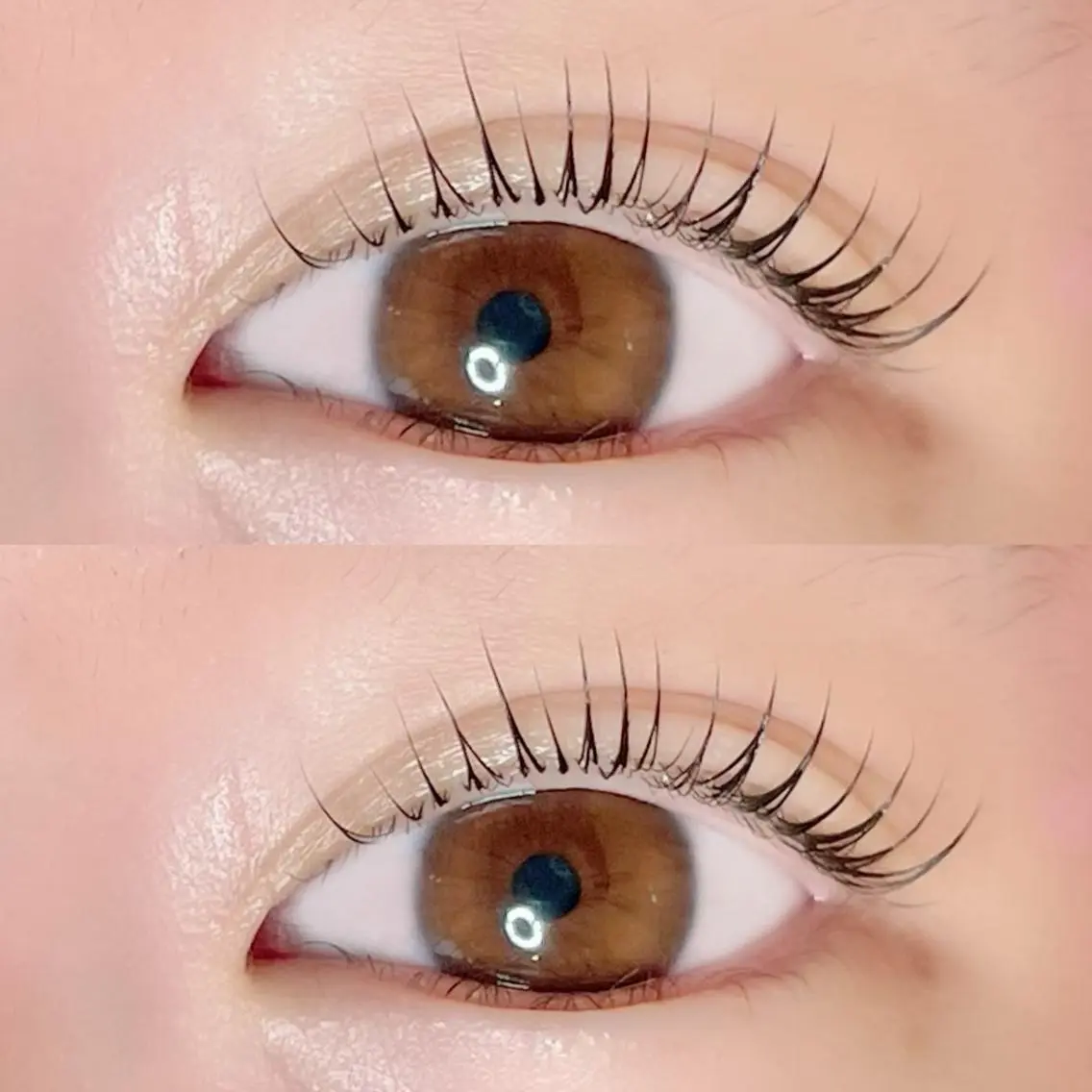 マツエク・マツパ マツパ AYLASH🧡 猪又のマツエク・マツパデザイン