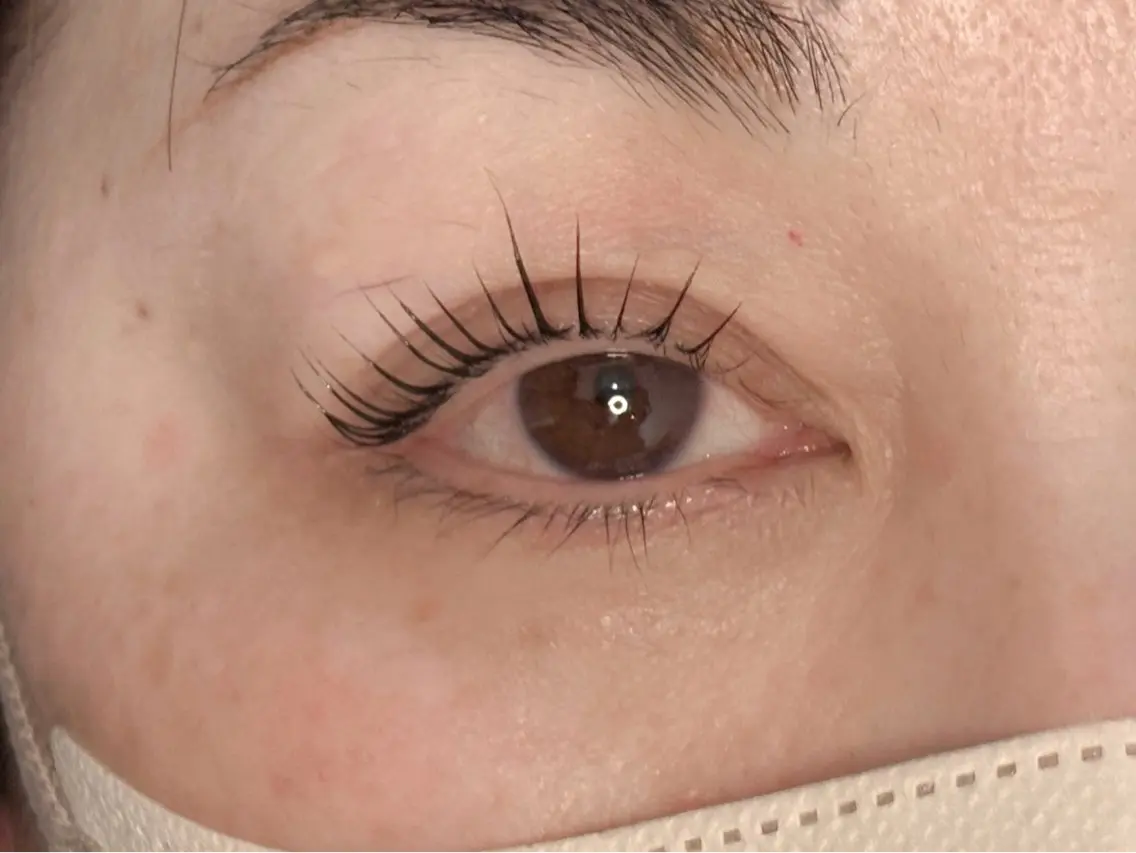 マツエク・マツパ マツパ eyelash Honomiの眉毛・アイブロウイメージ