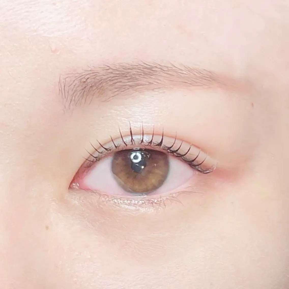 マツエク・マツパ eyelash elleのマツエク・マツパデザイン