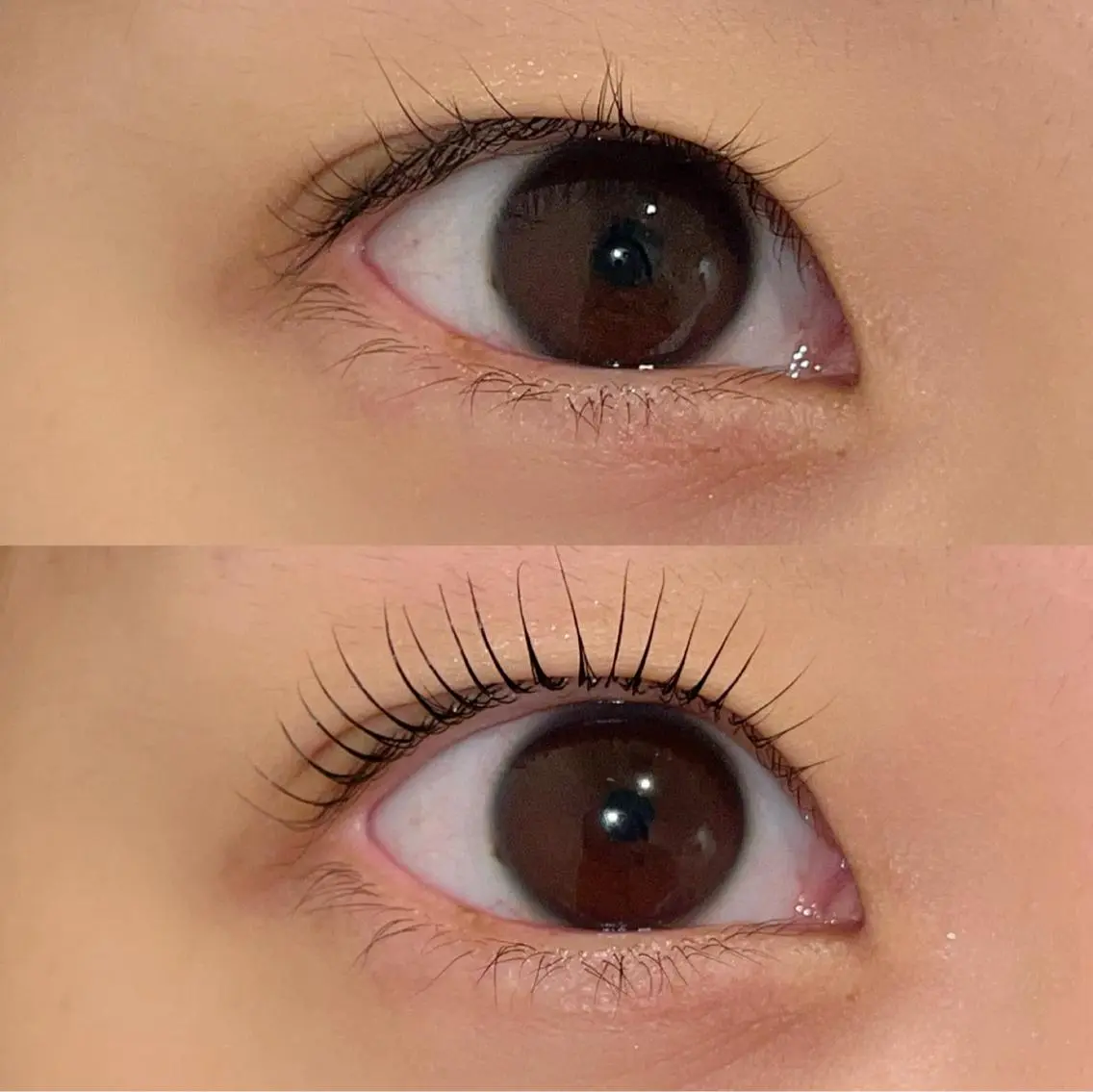 マツエク・マツパ パリジェンヌラッシュリフト まつげパーマ ai一重専門🎀束感 まつげ🫧表参道の眉毛・アイブロウイメージ