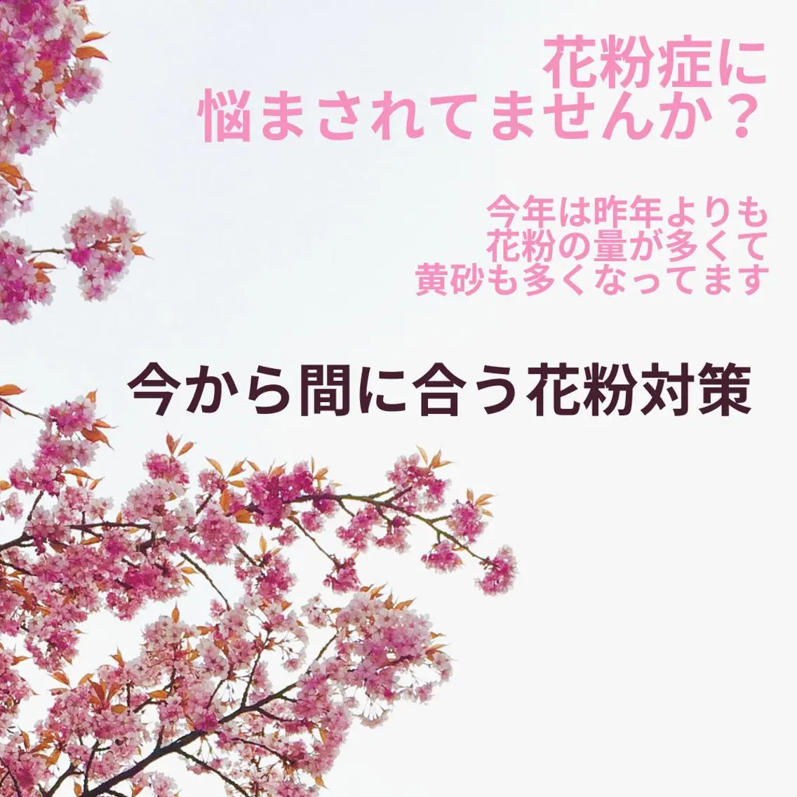 メナード美濃加茂本郷 山口 郁代のエステ・リラクイメージ