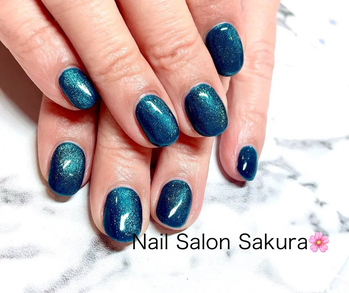 ネイル マグネットネイル マグネットワンカラー ワンカラーネイル Nail Salon Sakuraのネイルデザイン