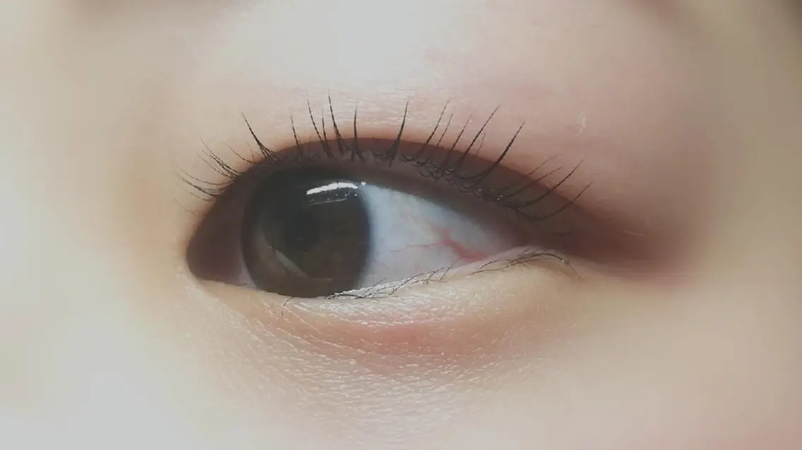マツエク・マツパ 一重×まつ毛パーマ マツパ 完全個室サロン🌹 angelux🌹のマツエク・マツパデザイン
