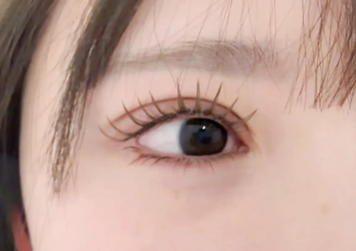 マツエク・マツパ フラットラッシュ 韓国風マツエク パリジェンヌラッシュリフト まつげパーマ 下まつげエクステ KUMI🤎Eye lash🌻新大久保のマツエク・マツパデザイン