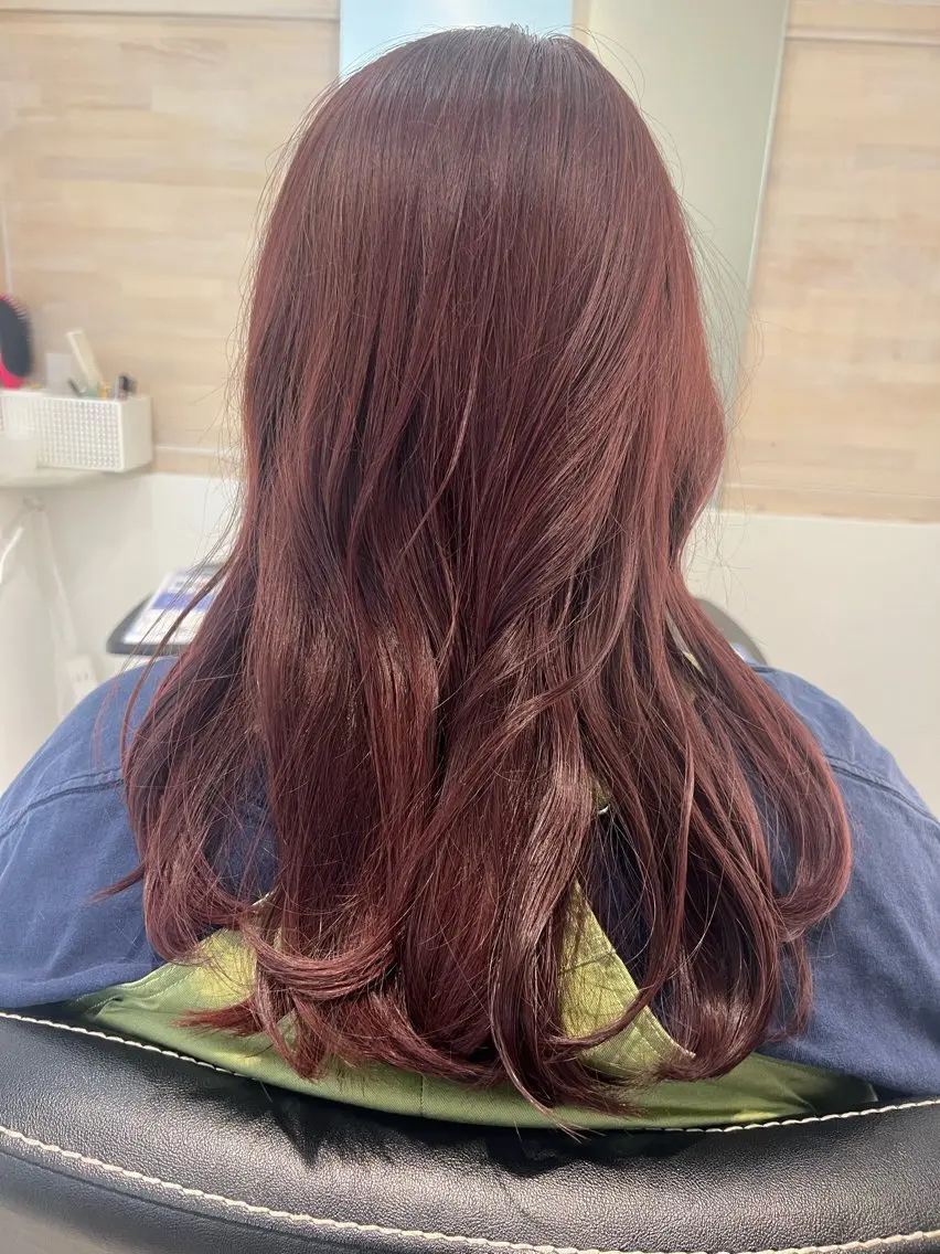 ロング カラー ブラウンカラー レッドカラー レッドブラウン 🥣🫧艶カラー 🦋アカマ ミユ🦋のヘアスタイル