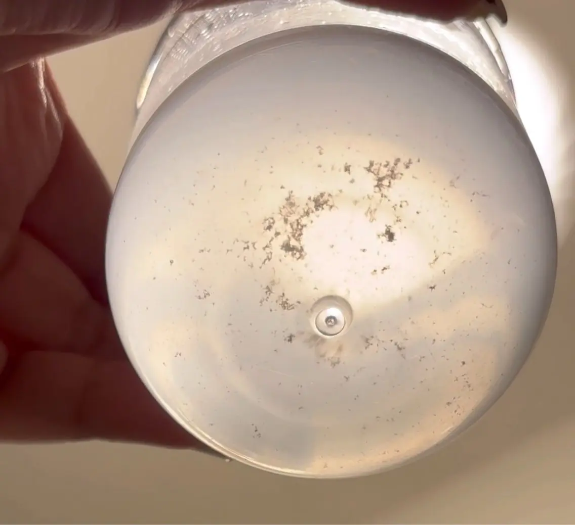 美眉waxスタイリング(カット込)+顔全体毛穴洗浄の写真