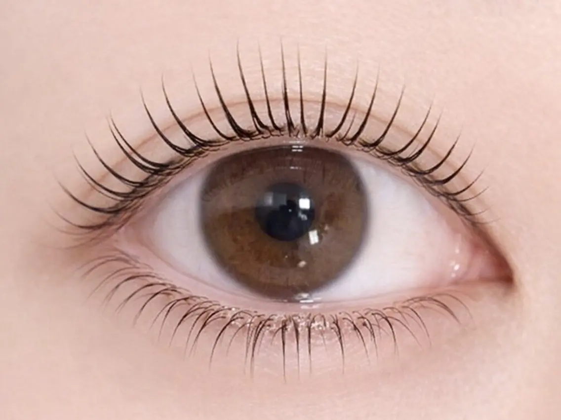 🎀まつ毛パーマ☁️✨【デザインお選びいただけます】の写真