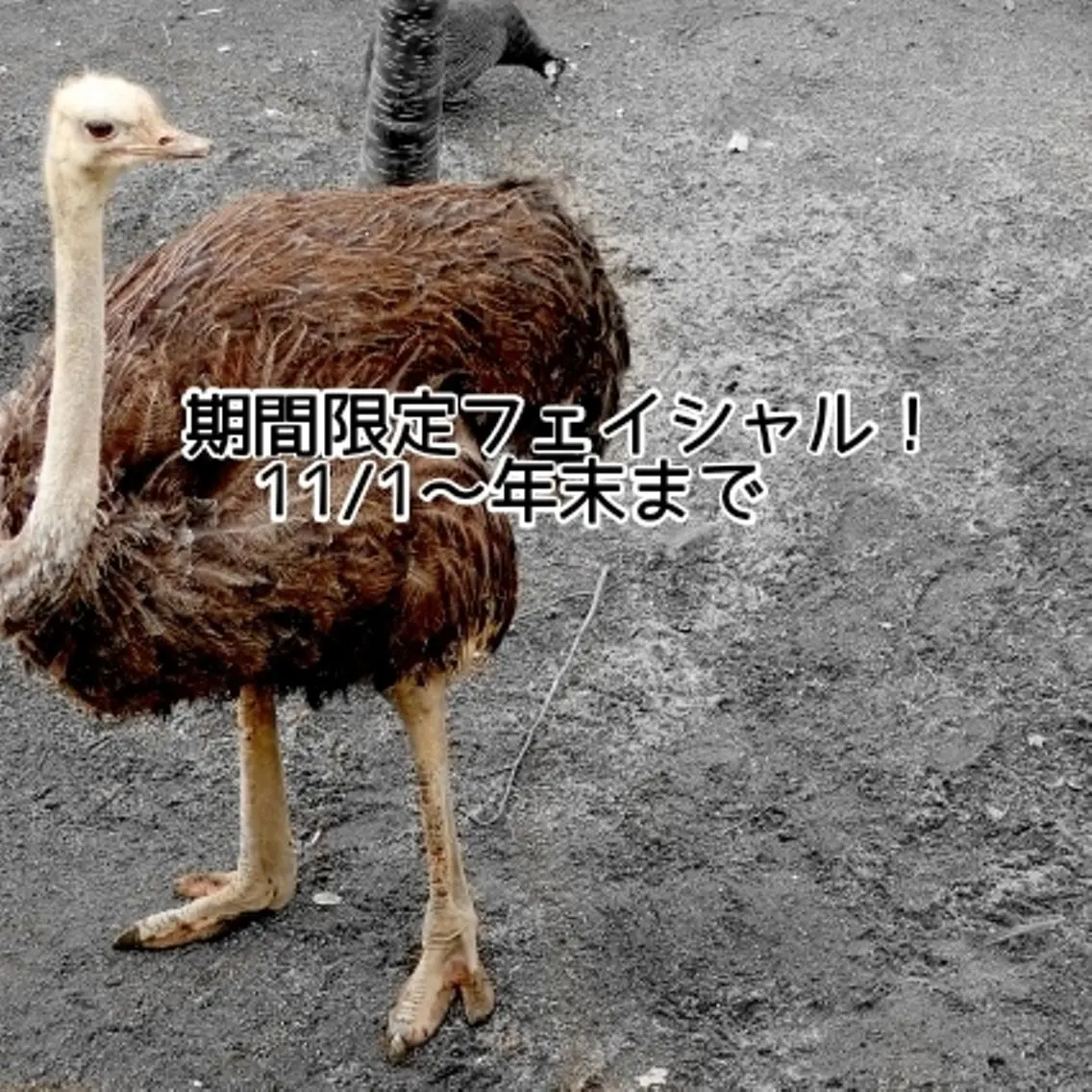 シミ・たるみ専門 サロン Cherieのエステ・リラクイメージ