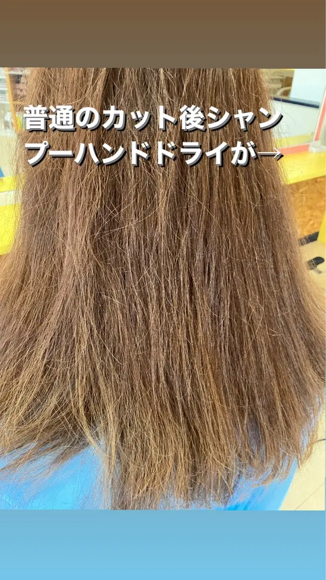 セミロング カラー くせ毛 横田 尚登のヘアスタイル