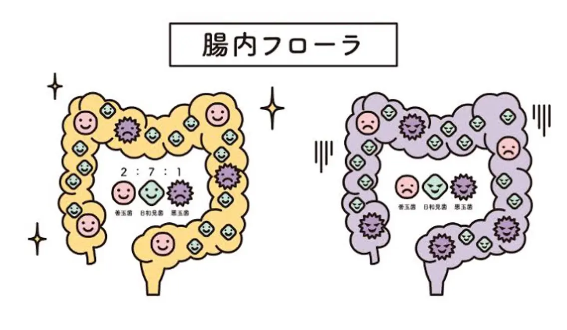 体質改善サロン Fleuretteのエステ・リラクイメージ