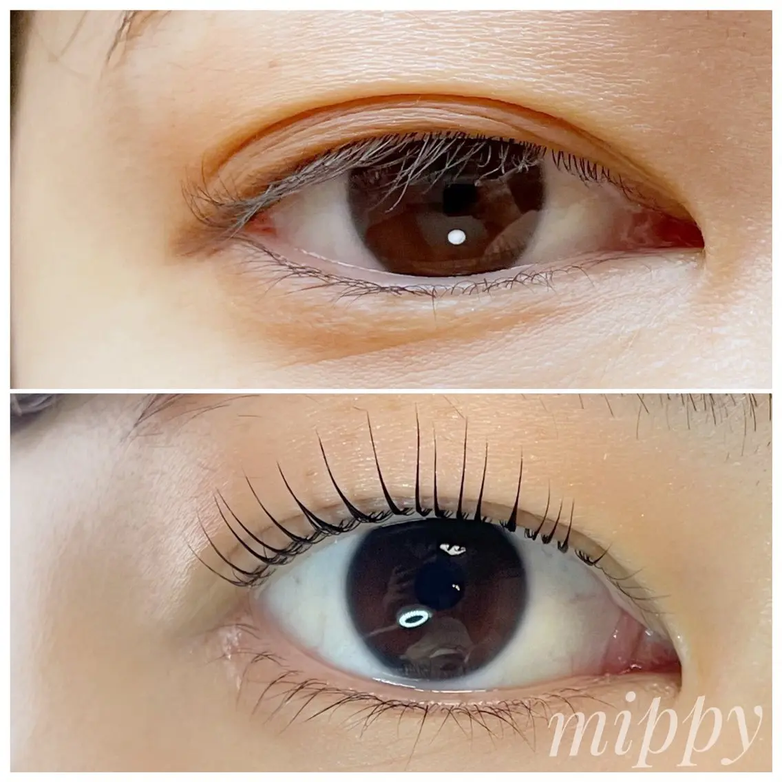マツエク・マツパ マツパ ｍｉｐｐｙ 🪽のマツエク・マツパデザイン