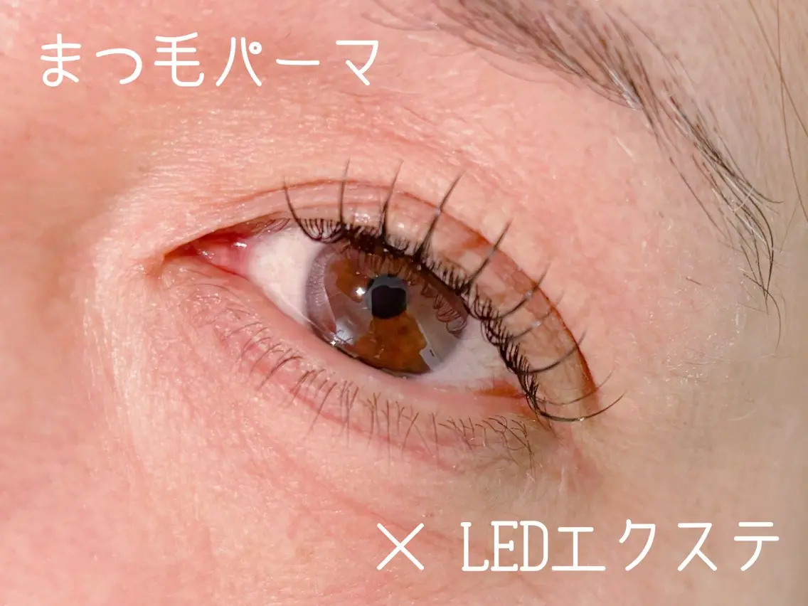 マツエク・マツパ eyelash catwinkのマツエク・マツパデザイン