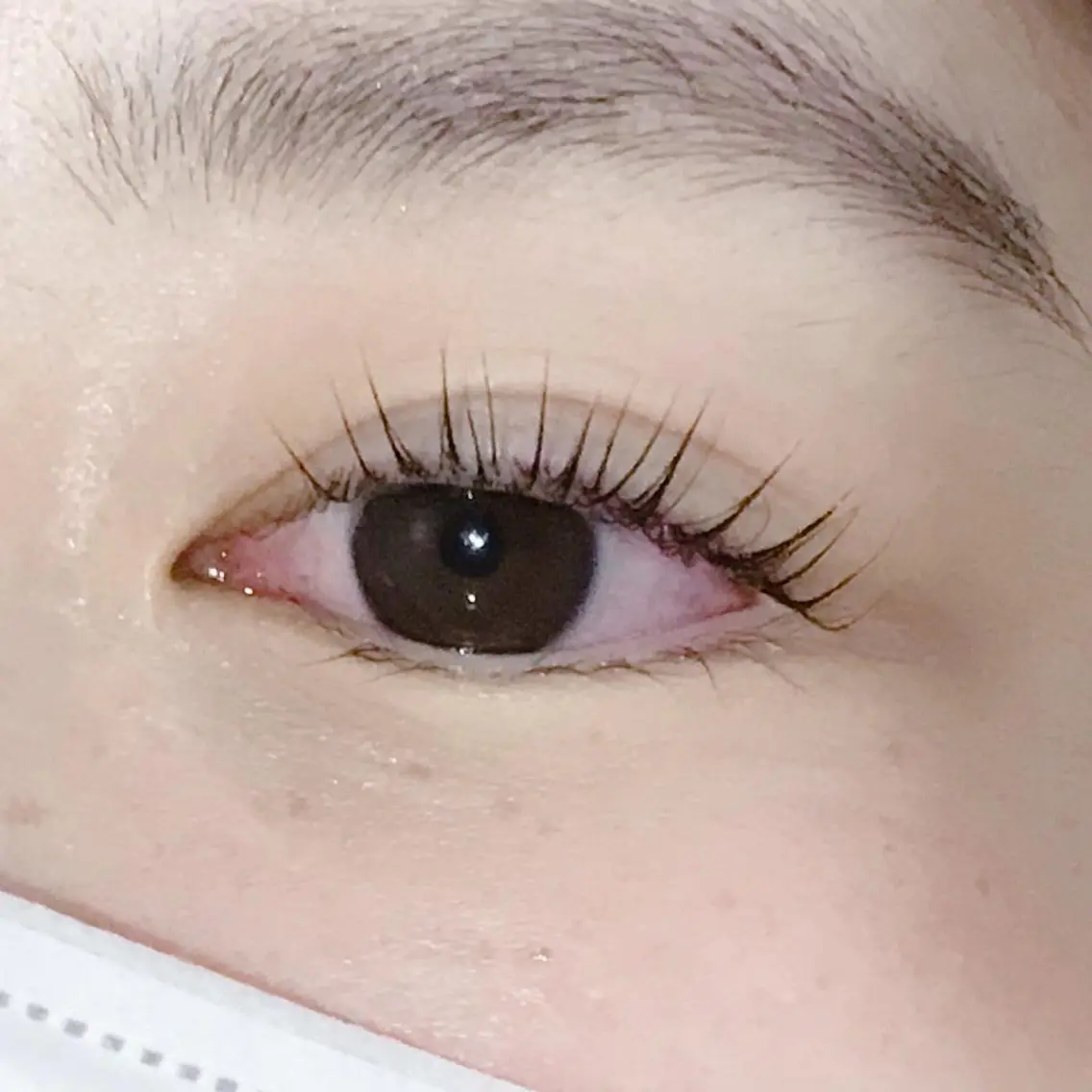 マツエク・マツパ eyelash catwinkのマツエク・マツパデザイン