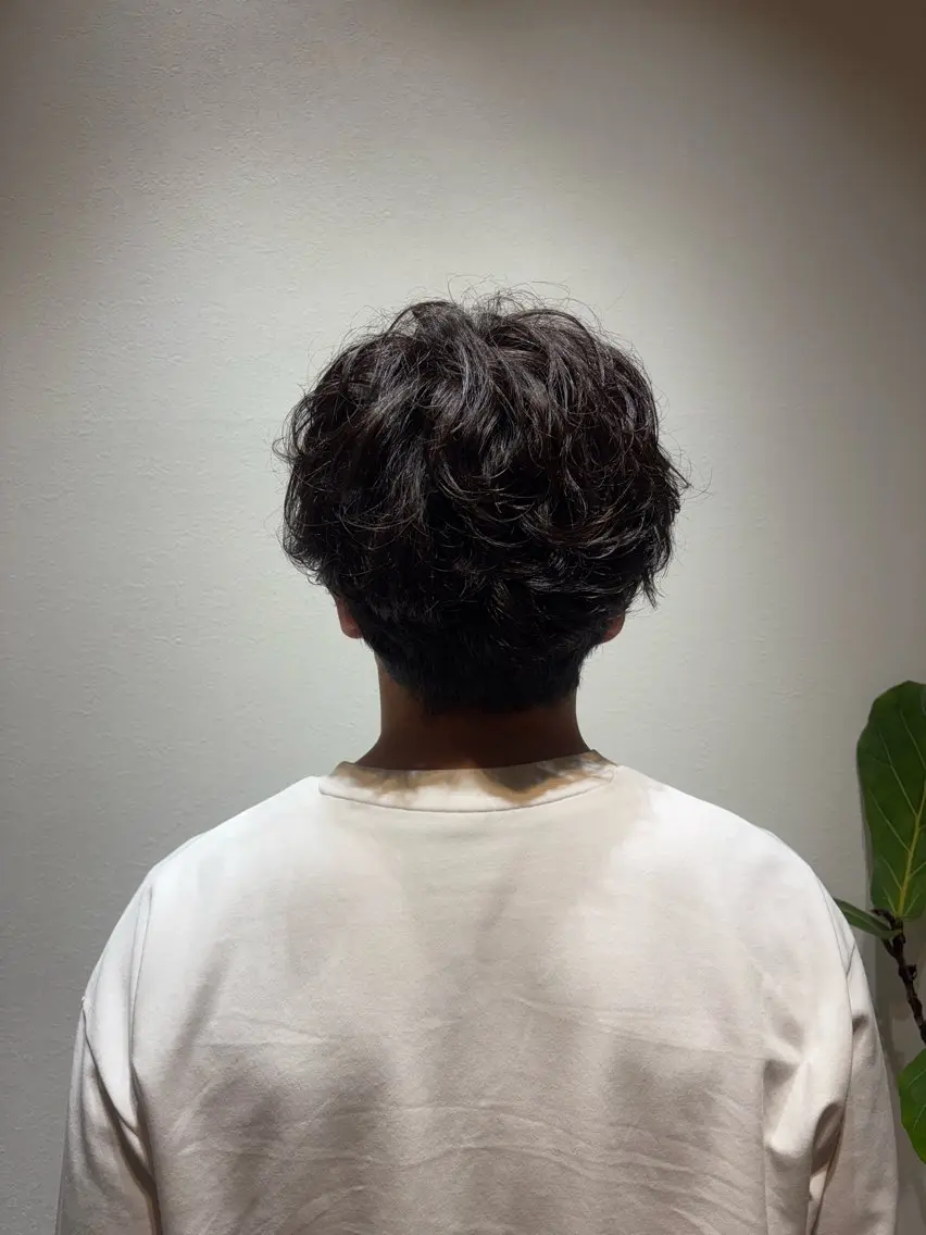 minimo限定⭐️  パーマ＋カットの写真