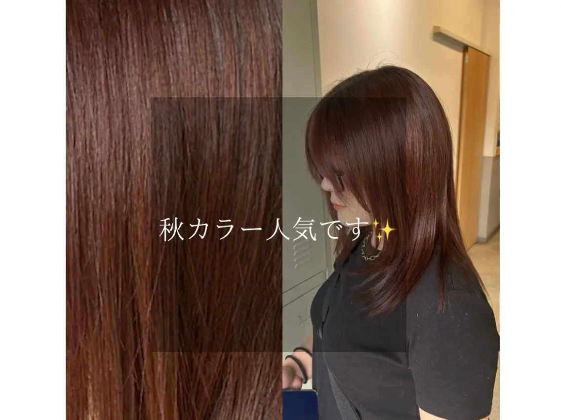 カラー カット ヘアカラー トリートメント 🌙似合わせカット ⭐️ハイトーンボブのヘアスタイル