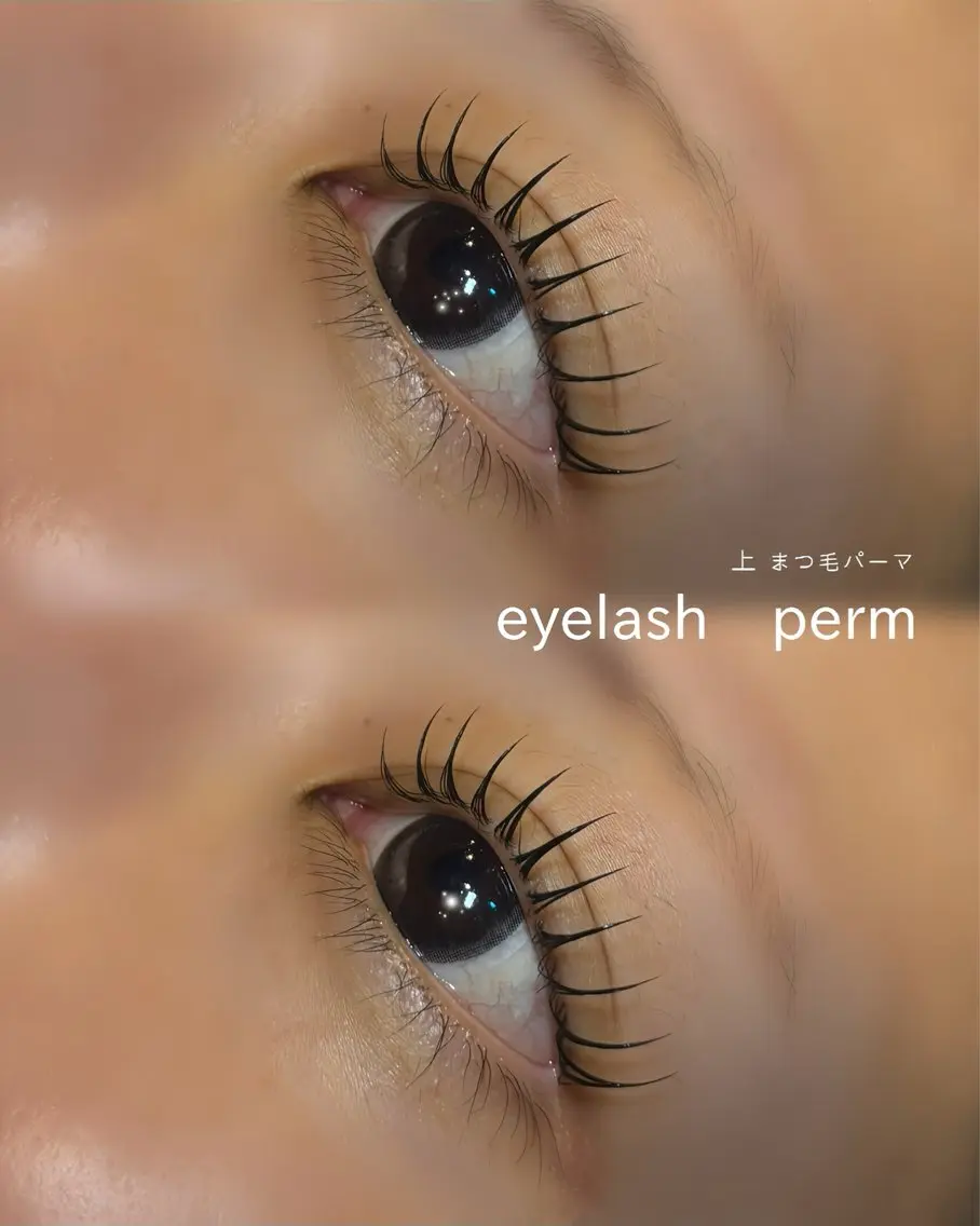 マツエク・マツパ 一重×まつ毛パーマ EYE LASH M / EBINA🌛のマツエク・マツパデザイン