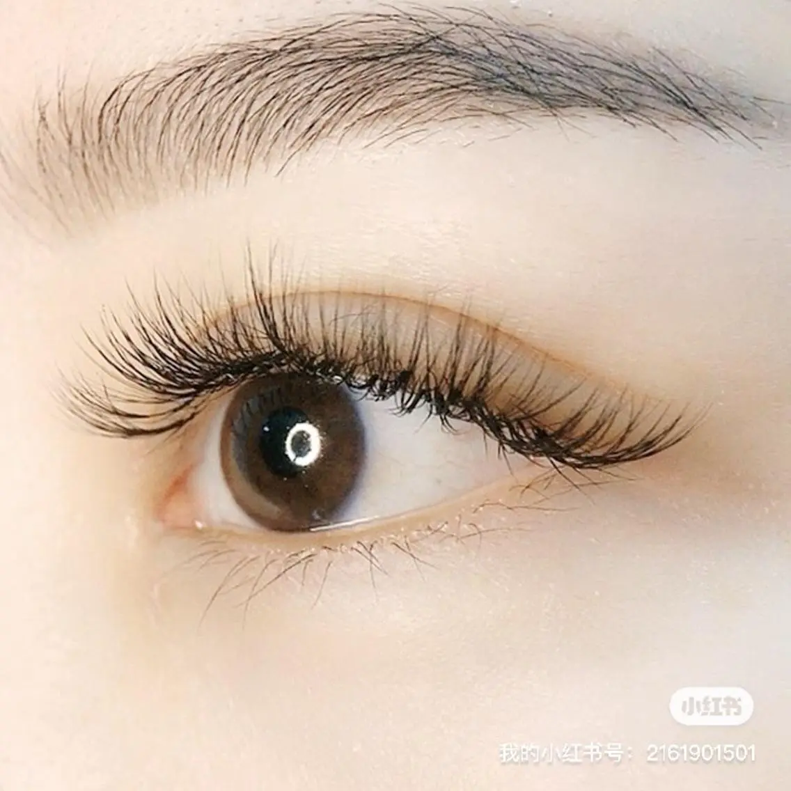 3Dボリュームラッシュ100束「束間仕上げ」の写真