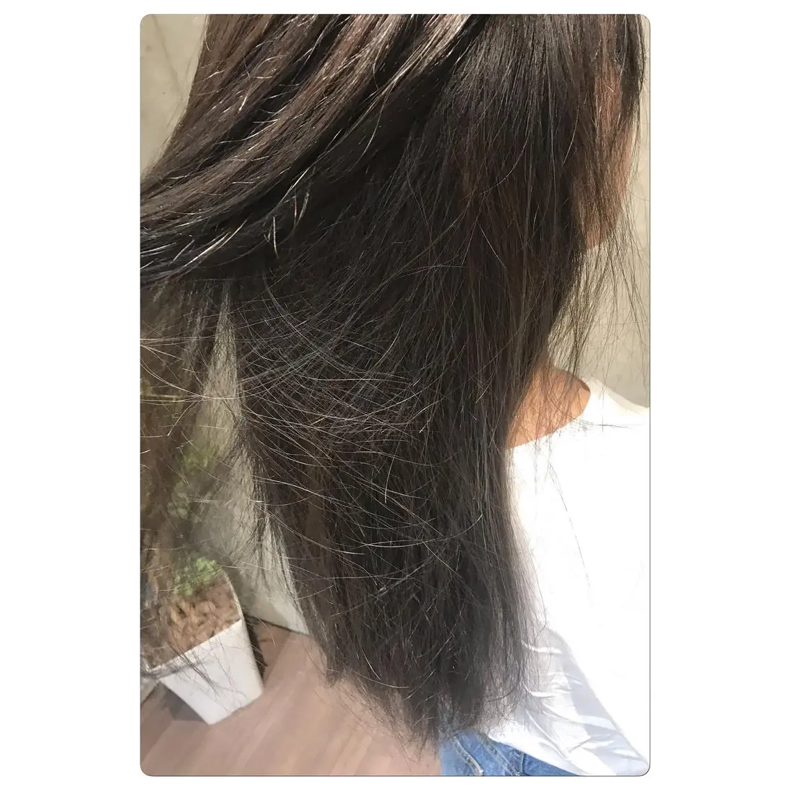 カラー 杉山 憂人のヘアスタイル