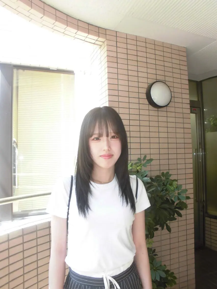 透明感ワンカラーの写真