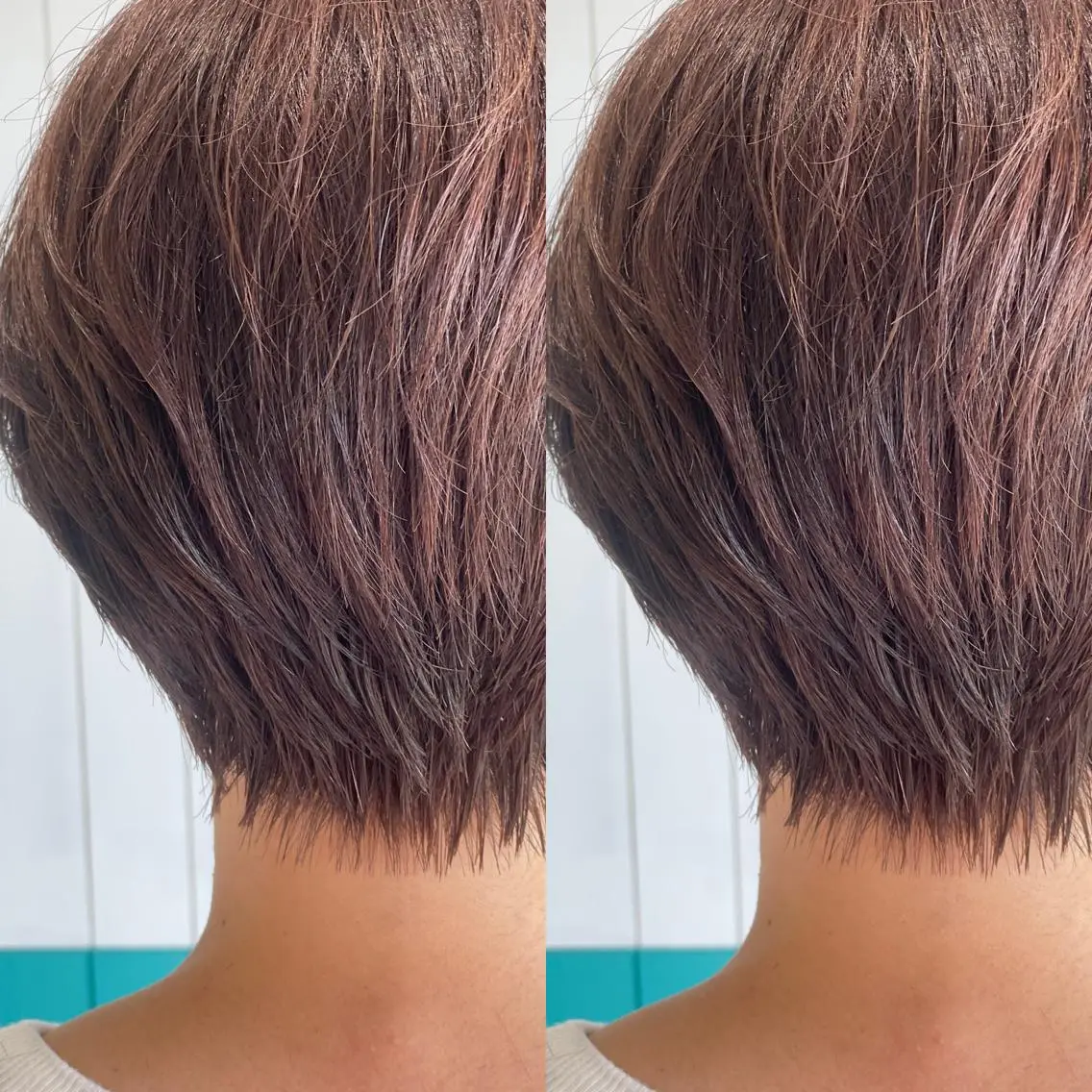 ショート カラー アッシュ ベージュカラー Snaly カラー特化ページのヘアスタイル