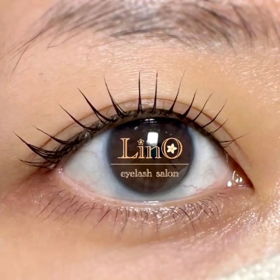 マツエク・マツパ パリジェンヌラッシュリフト マツパ 【Lino】 スタッフのマツエク・マツパデザイン