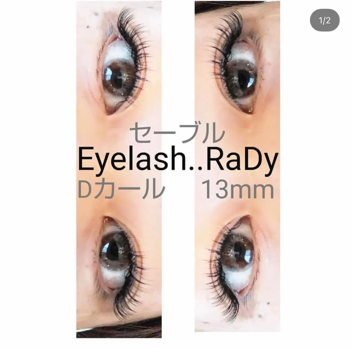 セーブル140本の写真