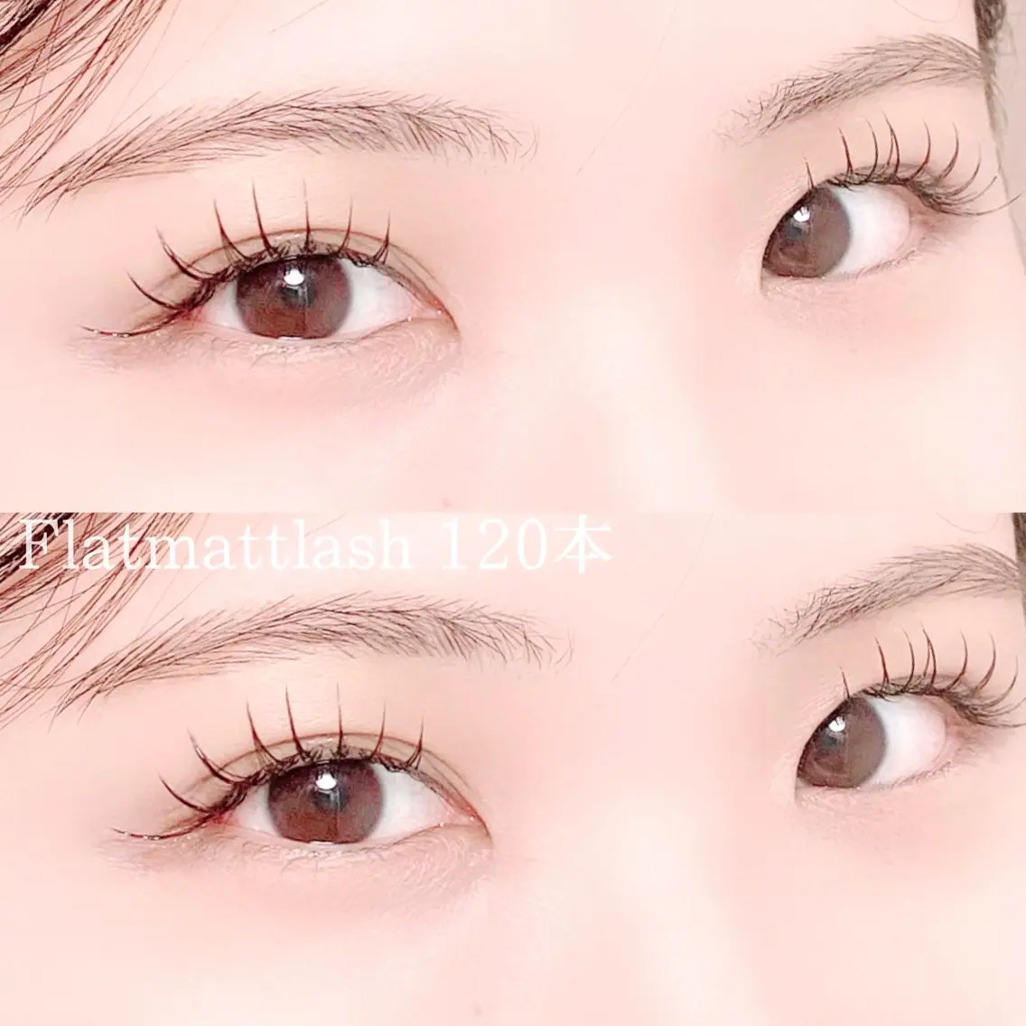 マツエク・マツパ フラットラッシュ eyelash "Koa"🕊🤎のマツエク・マツパデザイン