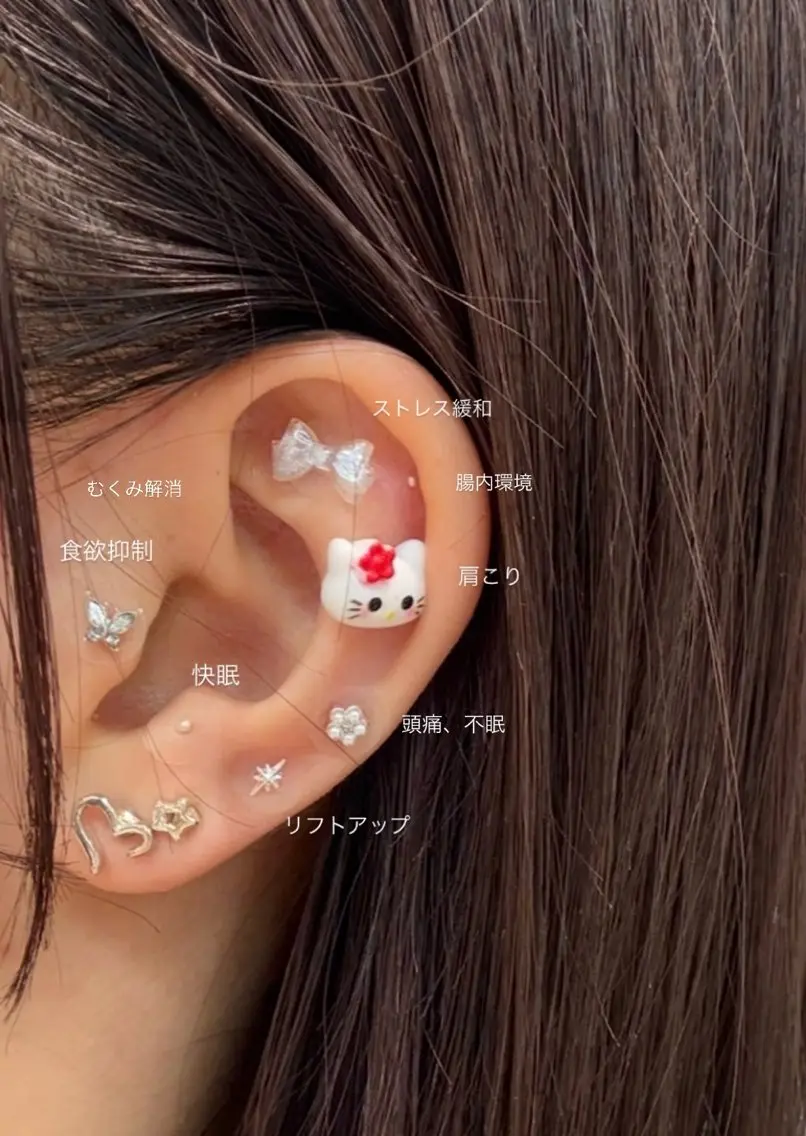 耳つぼジュエリー✨️💎【10Peace】の写真