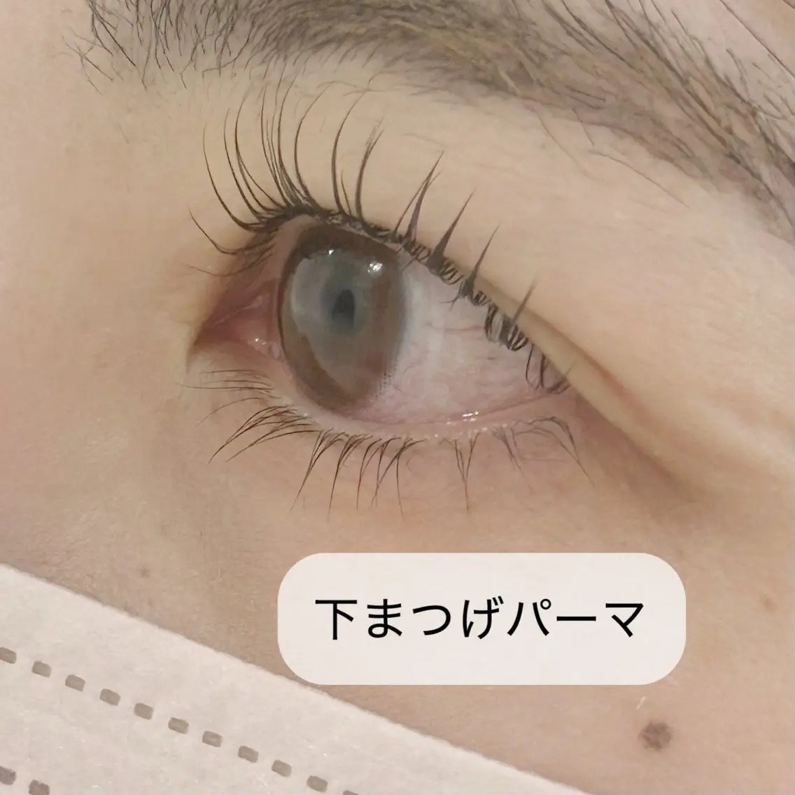 マツエク・マツパ 🌷高野衣里捺🌷 アイサロンANCILのマツエク・マツパデザイン