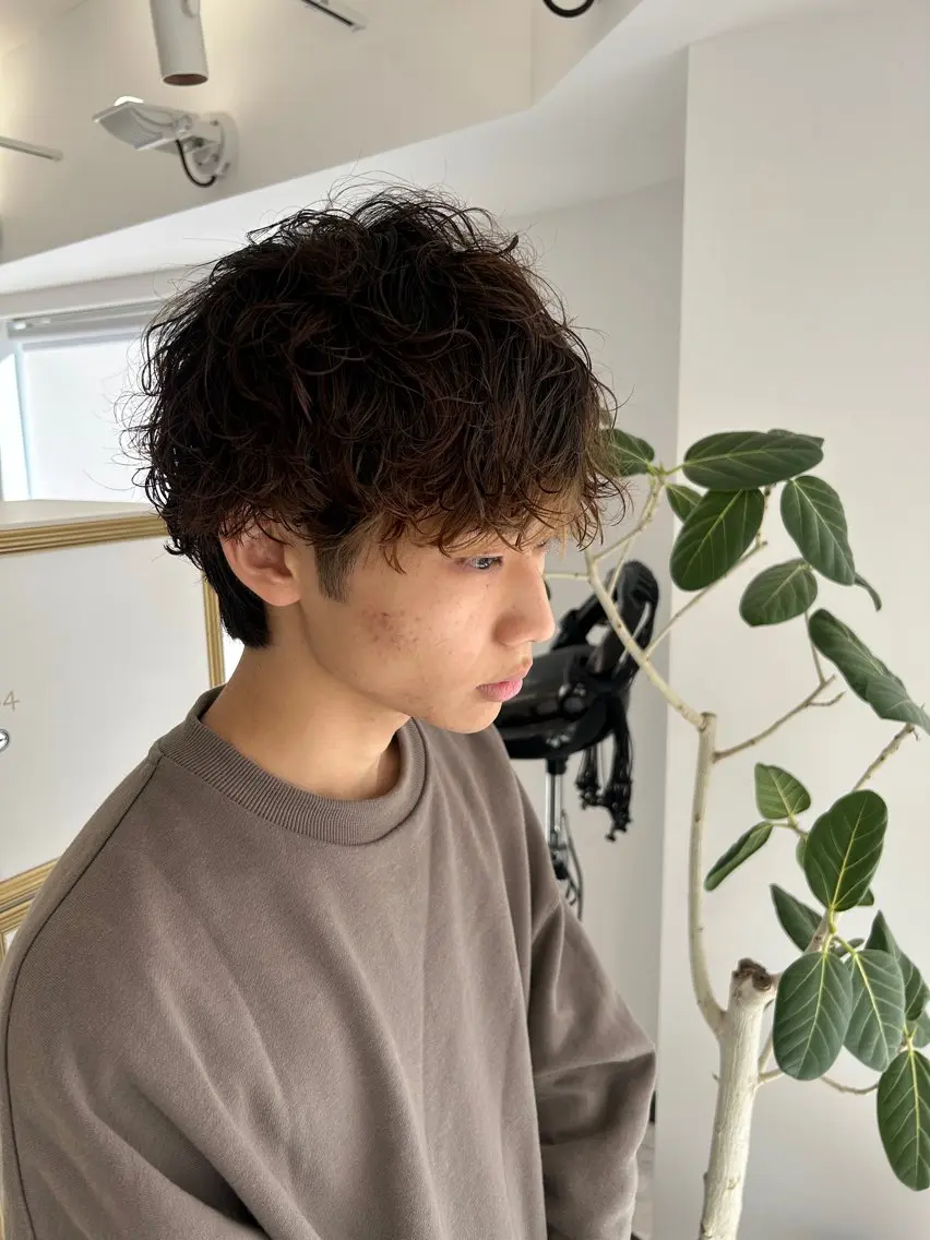 パーマ メンズ カット パーマ 🌻似合わせカット× パーマ/矢木🌻のヘアスタイル