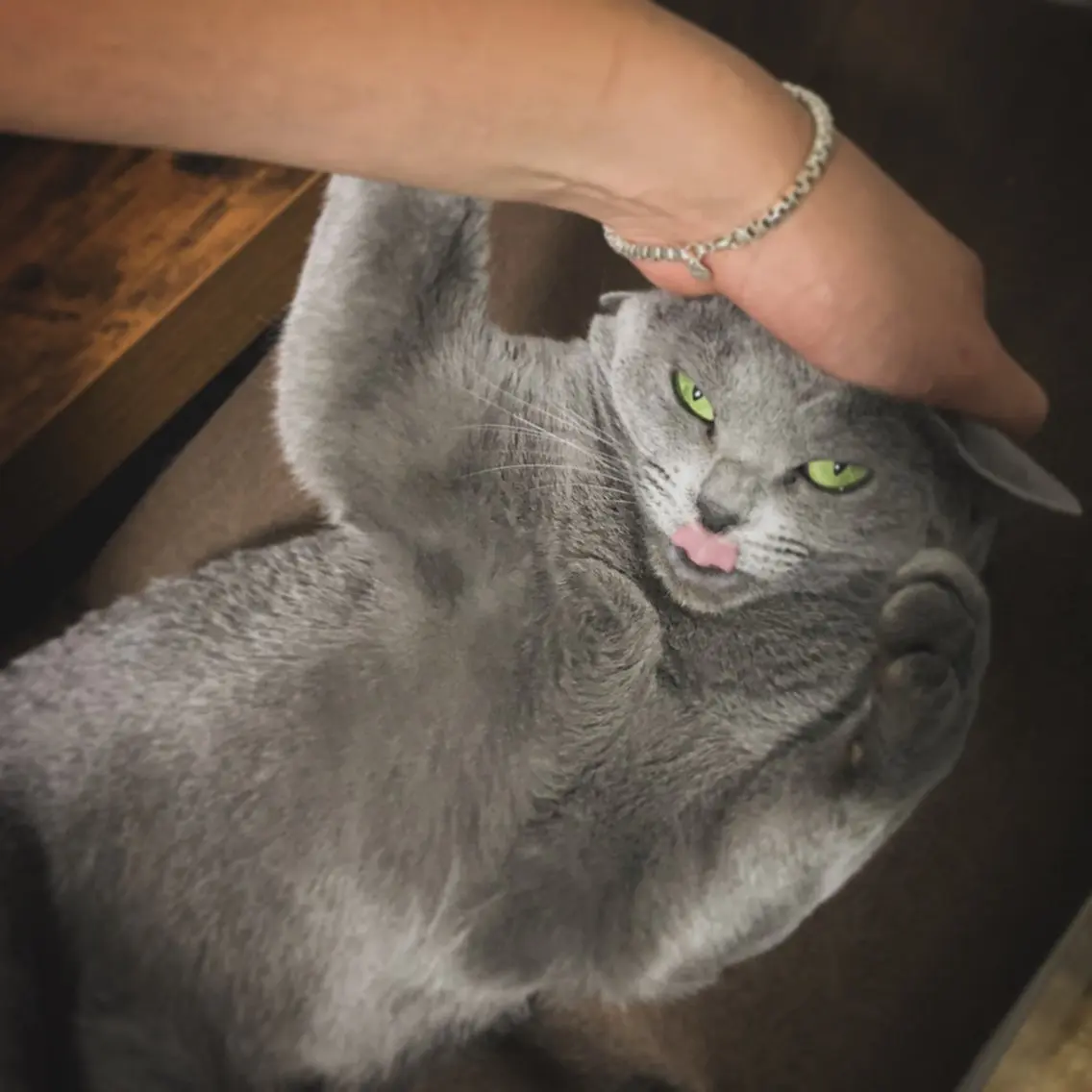 ショート メンズ ソイ 🐈‍⬛💛🫧のヘアスタイル