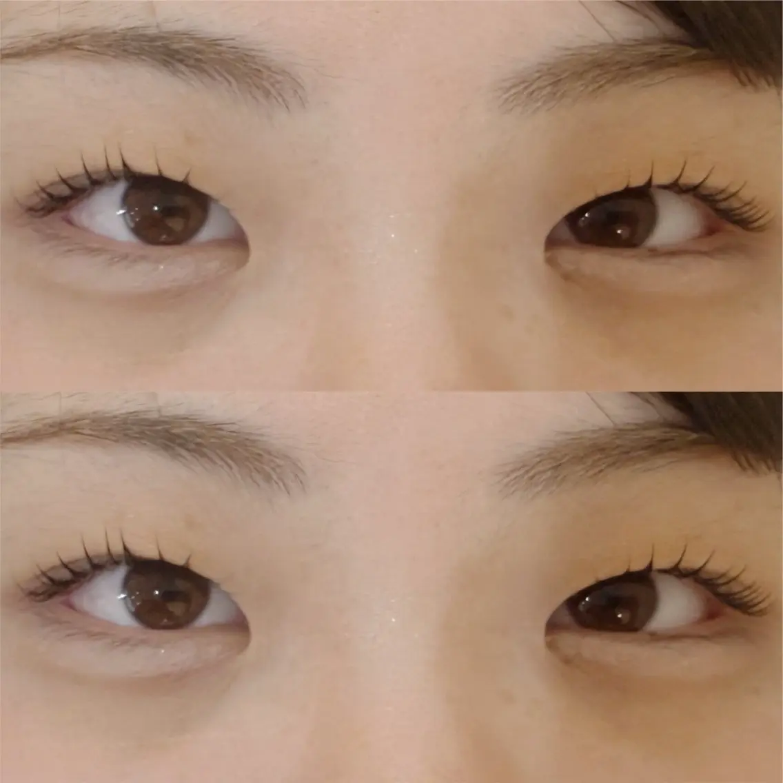 パリジェンヌラッシュリフト(コーティング付)の写真