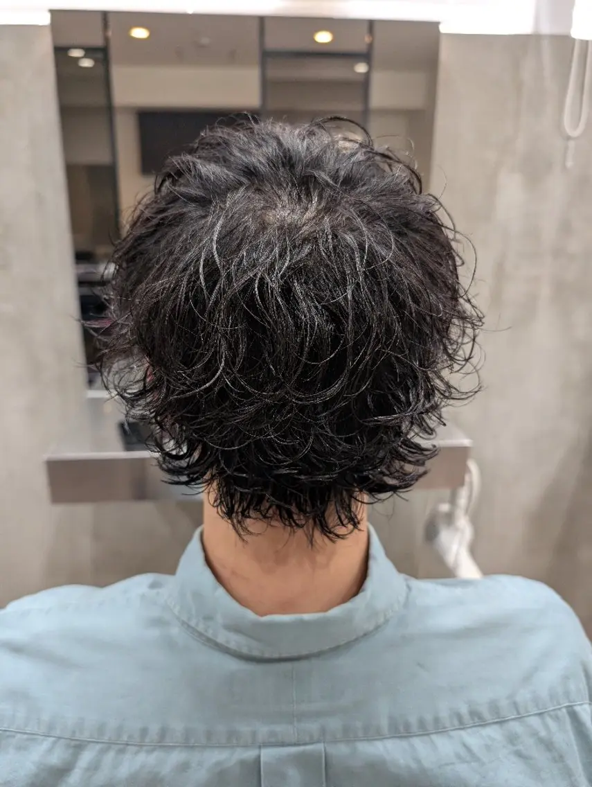 ミディアム パーマ メンズ ミディアムパーマ メンズパーマ メンズウルフカット ウルフカット カット パーマ QOL札幌YUTO （旧QOL円山）のヘアスタイル