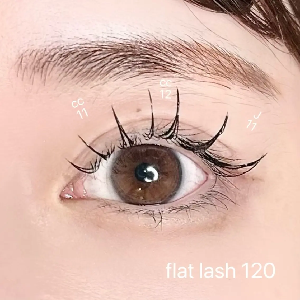マツエク・マツパ フラットラッシュ マツエク elua eyelashの眉毛・アイブロウイメージ