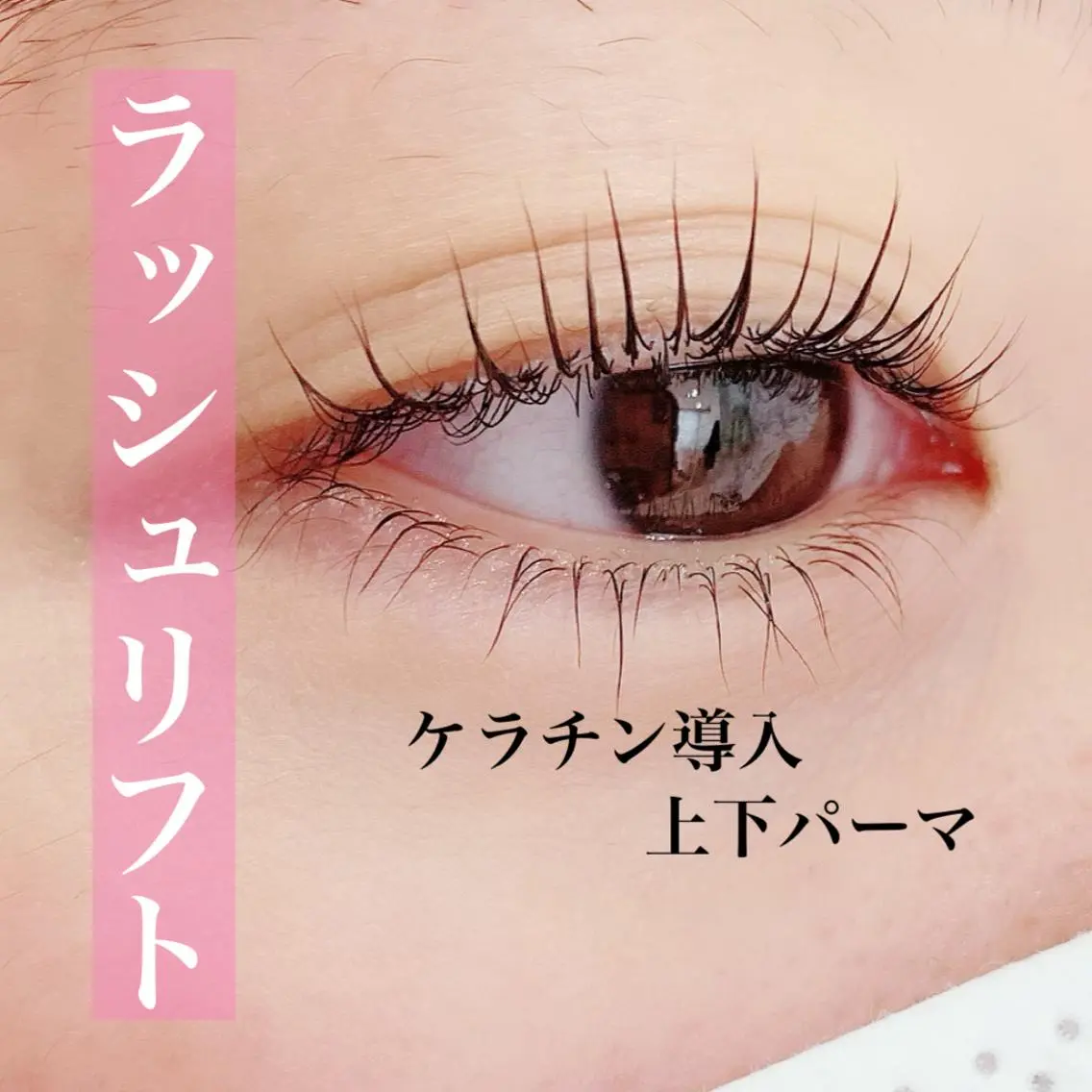 🌹ラッシュリフト、パリジェンヌ上下🌹 ⚠️2回目までの方の写真