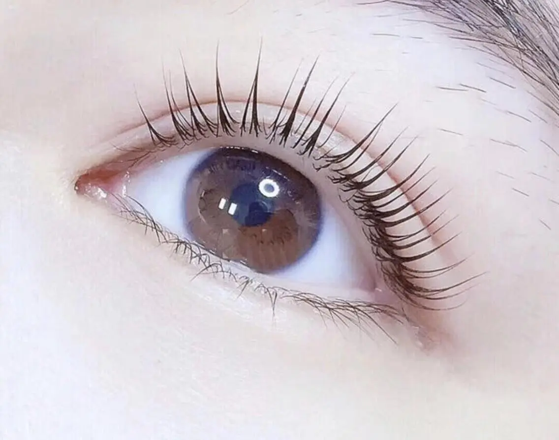 🌈期間限定パリジェンヌリフトラァシュ/美容液付きの写真