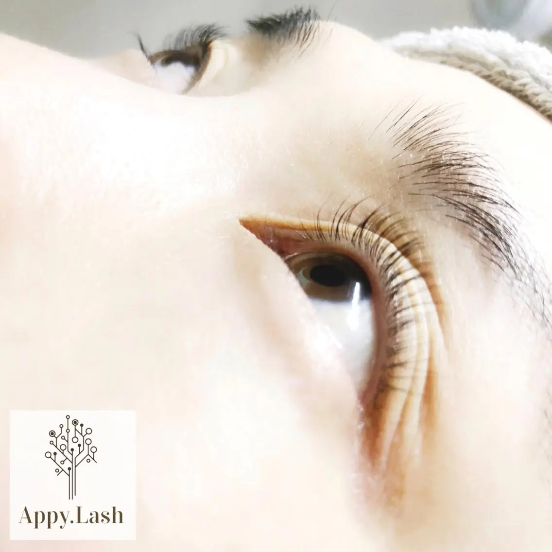 マツエク・マツパ まつげと眉の専門店 Appy.Lashのマツエク・マツパデザイン