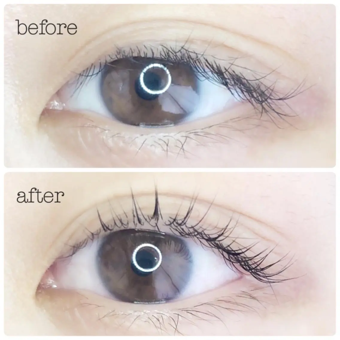 マツエク・マツパ sii. eyelashのマツエク・マツパデザイン