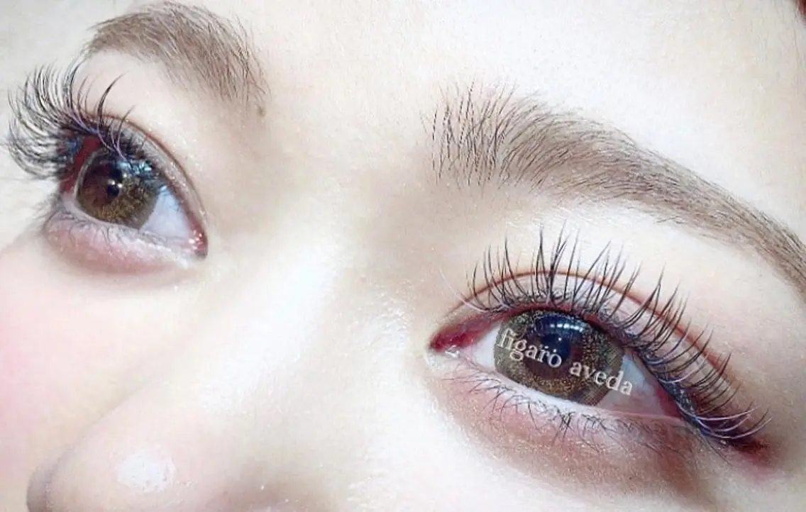 高級エクステフラットマットラッシュ100本✨オフ無料✨の写真
