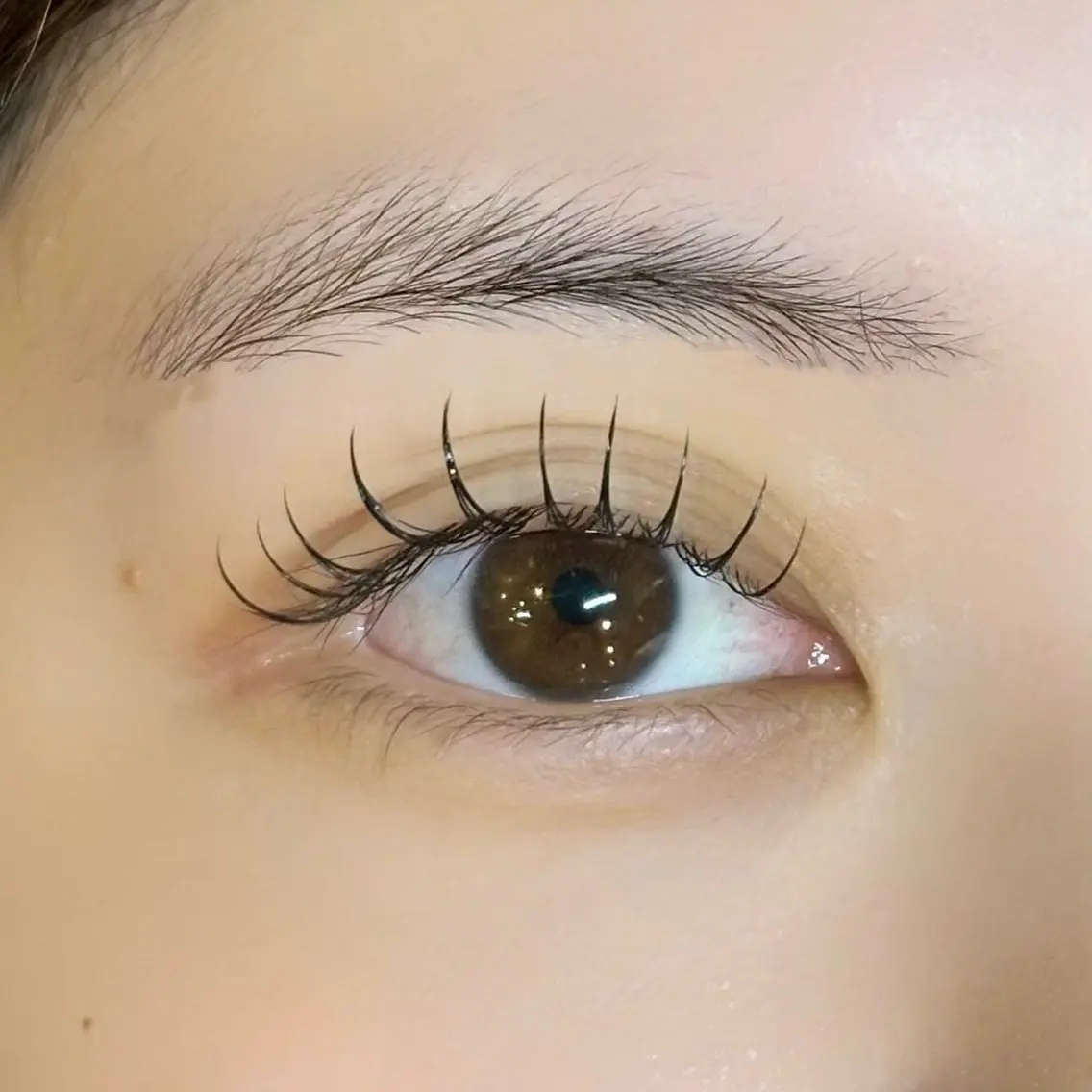 【人気No.1👑】マツエク100本の写真