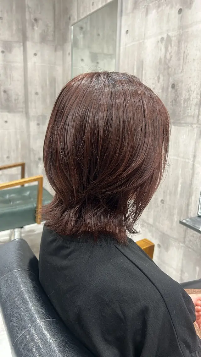 《当日限定🤍*⋆✩⃛⁎ケア艶カラー➕3️⃣ステップトリートメント！！！！！💆🏻‍♀️🌿の写真