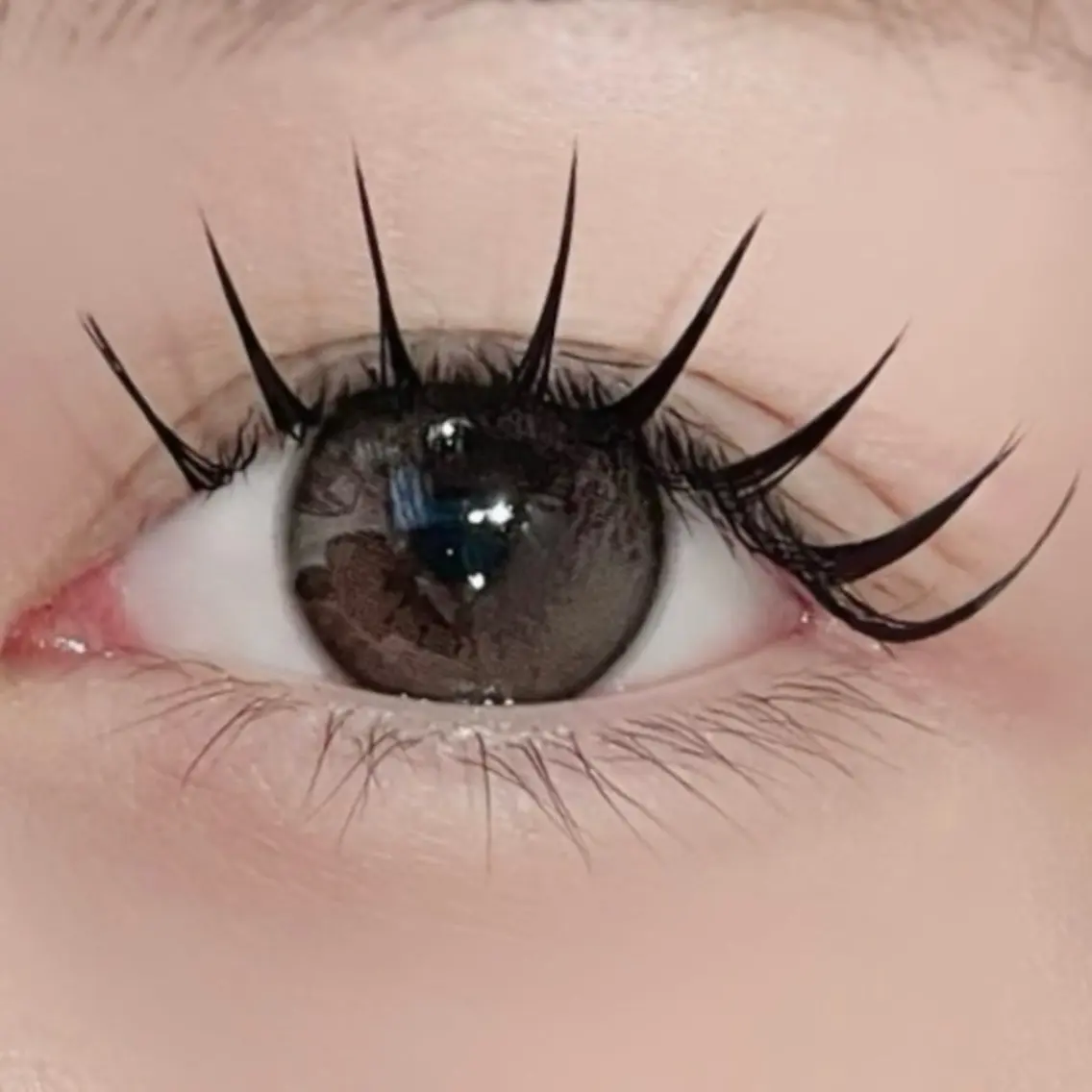 【 Lカール or LDカール 限定 】100本の写真