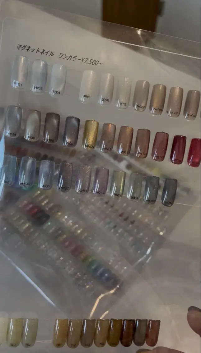 ネイル マグネットネイル マグネットワンカラー ワンカラーネイル Nailsalon Santy.のネイルデザイン