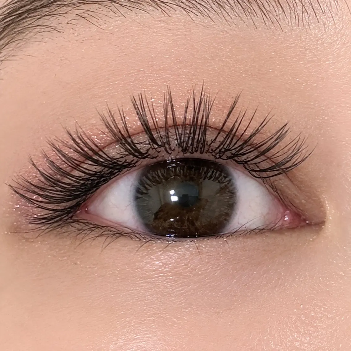 🫧🪶ダブルフラットラッシュ🪶🫧80束(160本)ご新規様限定の写真