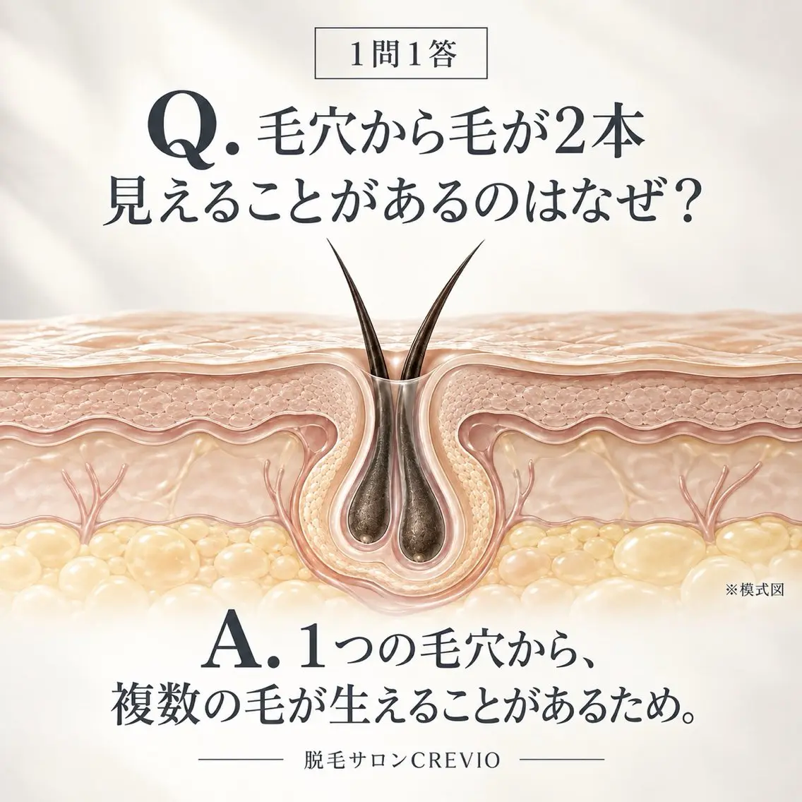 脱毛サロン CREVIOのエステ・リラクイメージ