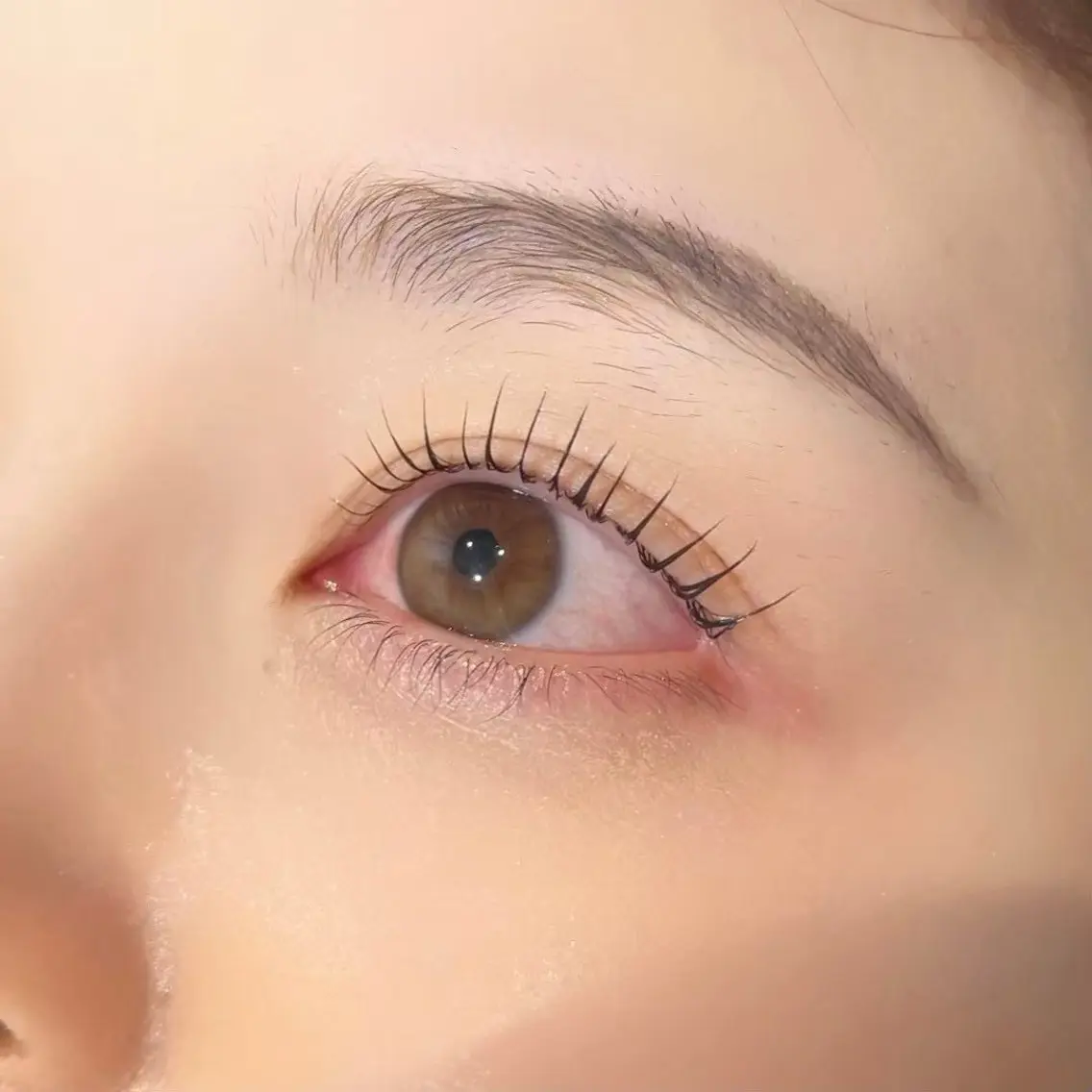 [しっかり立ち上げたい人必見👀💫]まつ毛パーマ🫧の写真