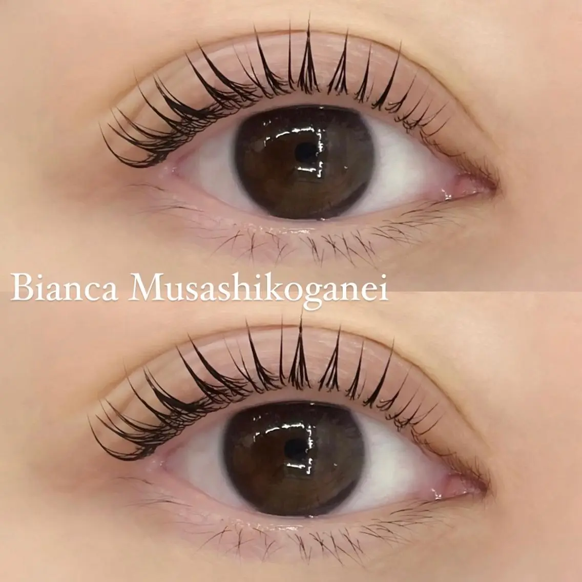 マツエク・マツパ マツパ 🩶Bianca 副店長ハシモト🩶のマツエク・マツパデザイン